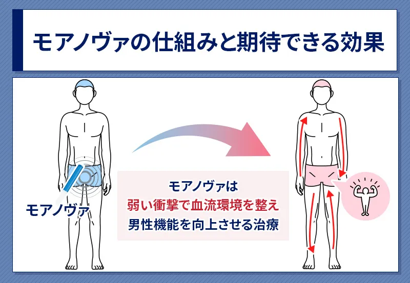 モアノヴァの仕組みと期待できる効果