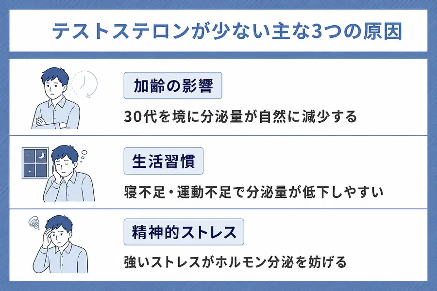 テストステロンが少ない主な3つの原因